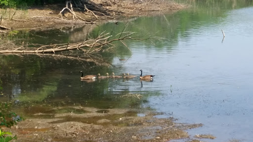 Environmental Organization «VINS Nature Center», reviews and photos, 6565 Woodstock Rd, Quechee, VT 05059, USA
