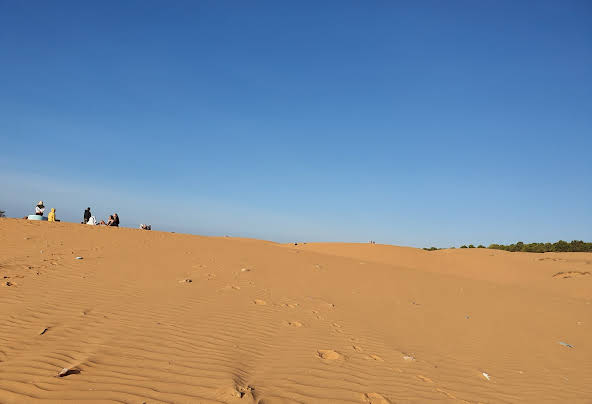 붉은 모래 사막 모코코