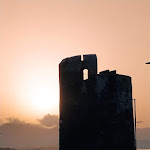 Photo n°4 de l'avis de Marco.' fait le 08/07/2023 à 18:32 sur le  Sa Corte “Food & Wine” a Santa Lucia di Siniscola à Santa Lucia