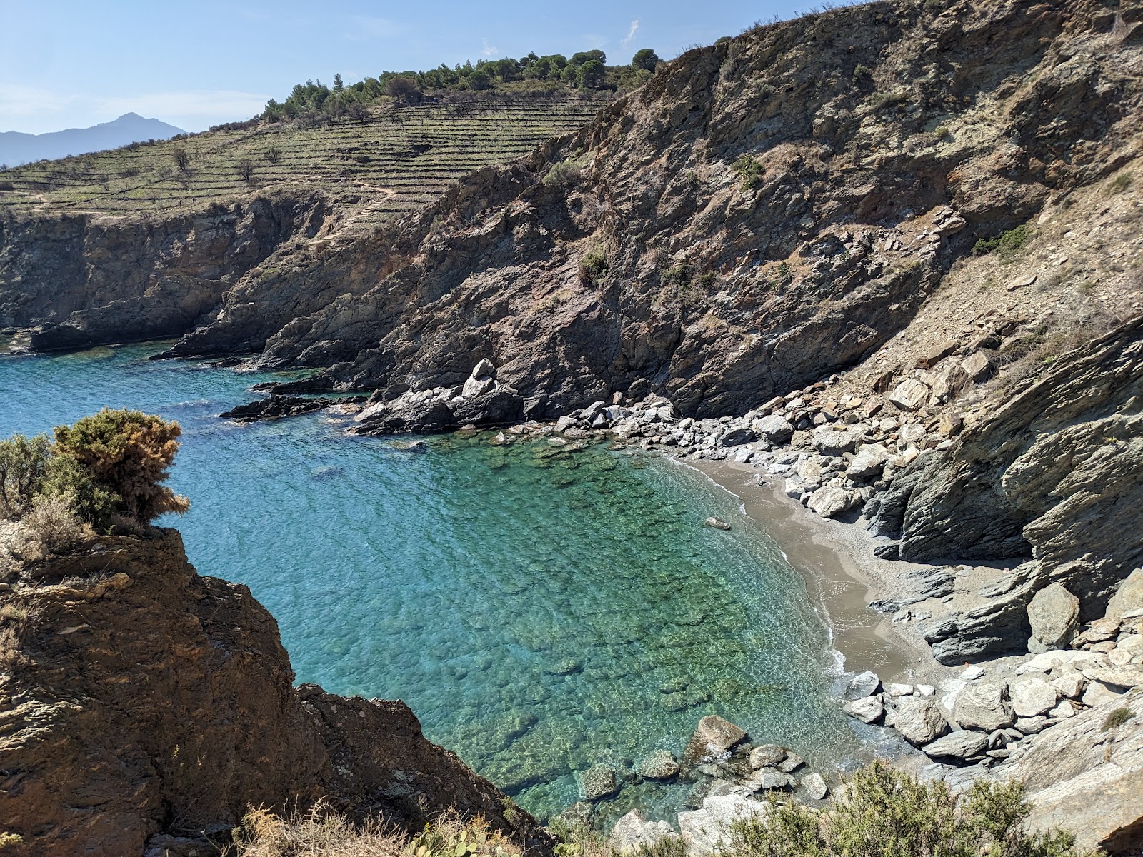 Plage Anse Sainte-Catherine'in fotoğrafı ve yerleşim