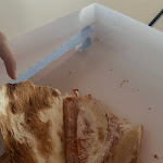 Photo n°1 de l'avis de Aya.b fait le 04/11/2023 à 13:53 sur le  Ristorante Carisma à Maranello