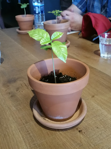 Coffee Shop «Brioso Roastery & Coffee Bar», reviews and photos, 329 E Long St, Columbus, OH 43215, USA