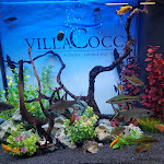 Photo n°1 de l'avis de Giovanna.i fait le 10/05/2021 à 11:07 sur le  Villa Cocca à Gavirate