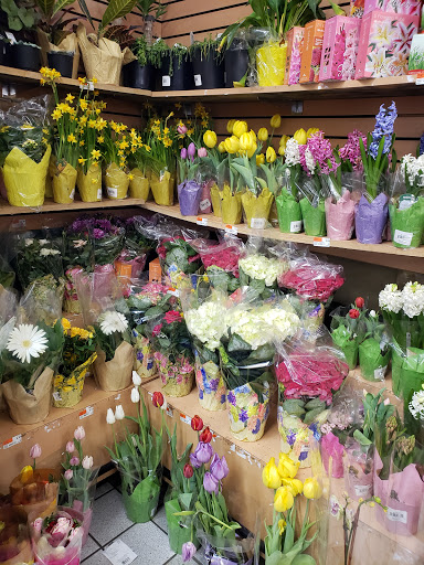 Supermarket «The Harrison Market», reviews and photos, 355 Halstead Ave, Harrison, NY 10528, USA