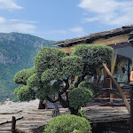 Photo n°8 de l'avis de Gregory.o fait le 26/05/2023 à 16:45 sur le  La Tagliata à Positano