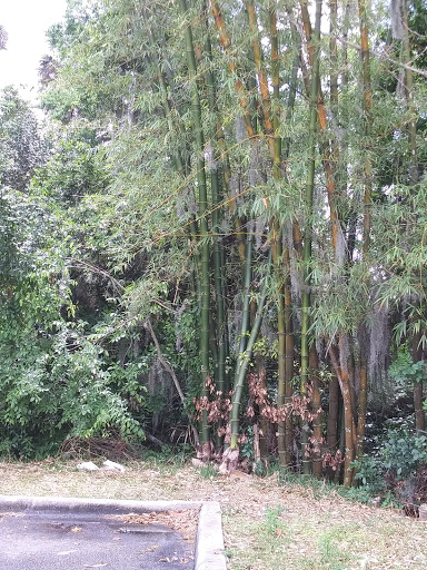 Home Improvement Store «Tractor Supply Co.», reviews and photos, 2619 US-1, Mims, FL 32754, USA