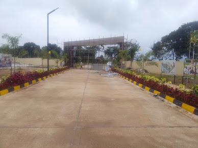 Google Maps image 13