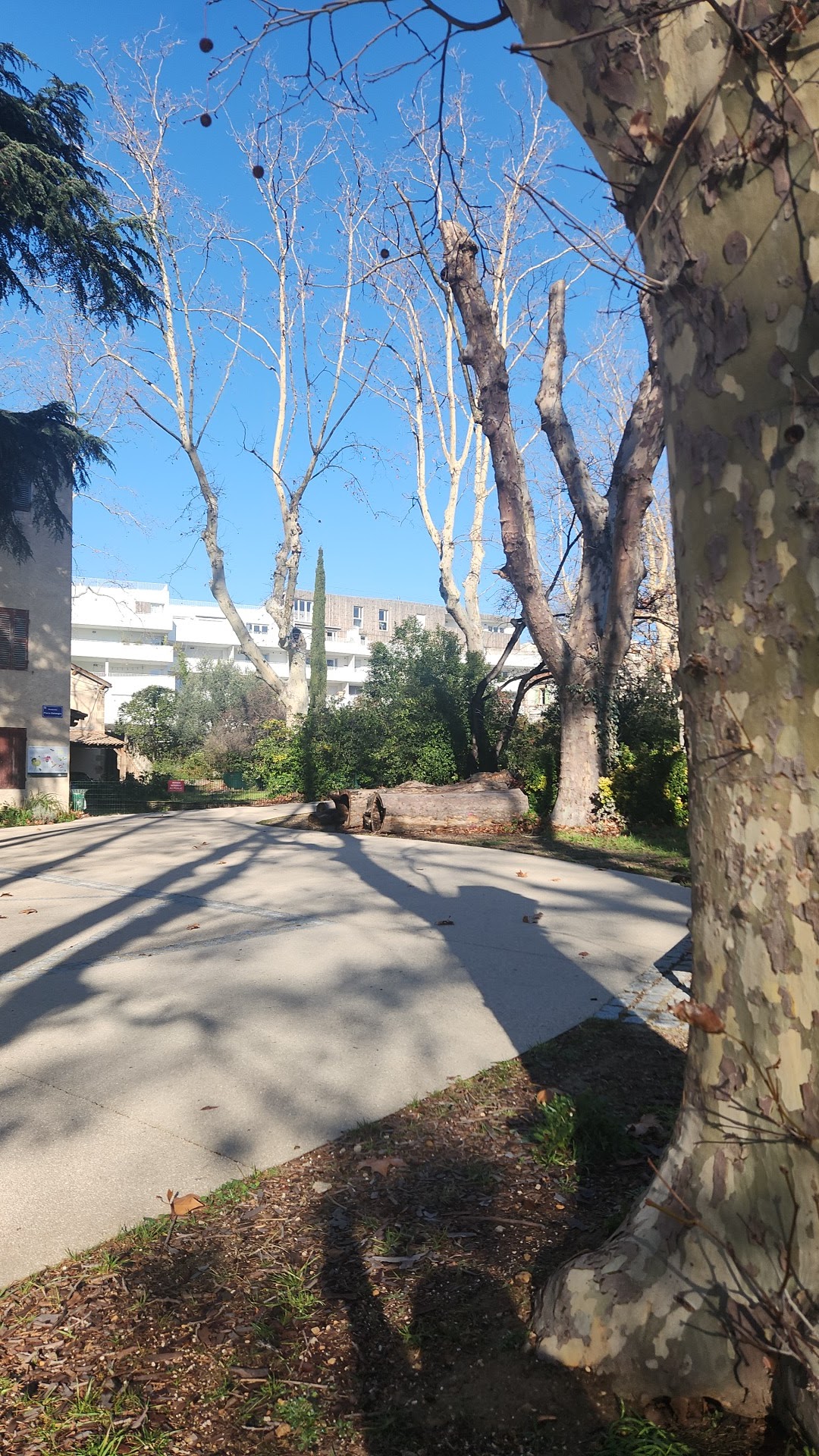 Photo n° 4 de l'avis de John.j fait le 12/01/2024 à 10:47