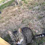 Photo n°5 de l'avis de Jure. fait le 09/09/2022 à 04:46 sur le  Gaiattone Eco Resort à Assisi