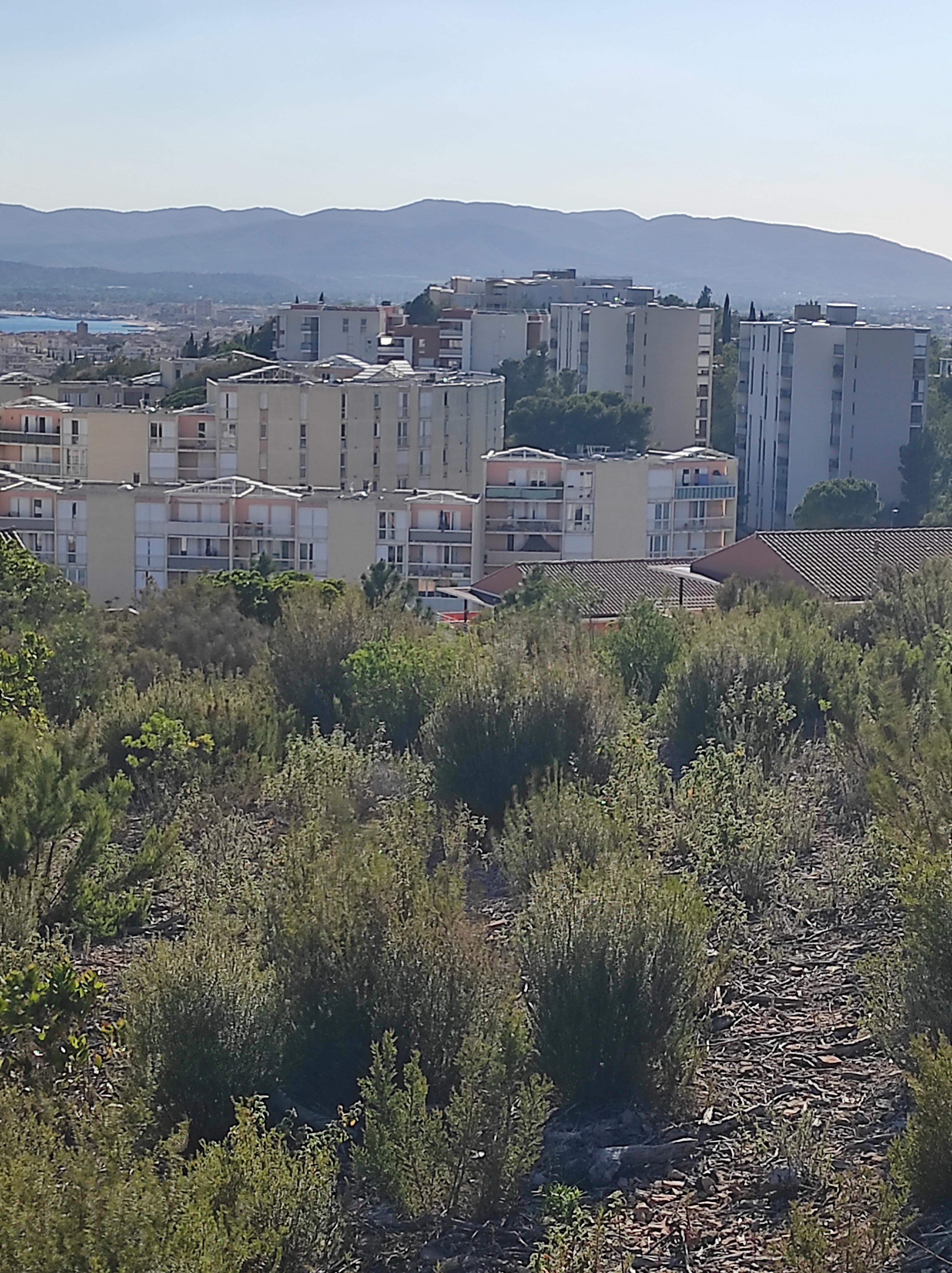 Photo n° 2 de l'avis de Nicolas.o fait le 10/05/2023 à 16:11