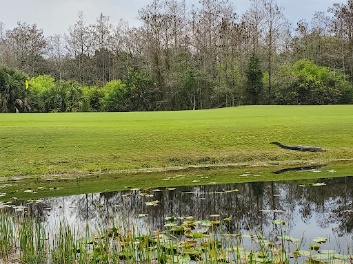 Country Club «Ironhorse Country Club», reviews and photos, 8055 Ironhorse Blvd, West Palm Beach, FL 33412, USA