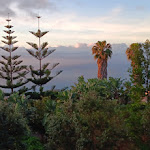 Photo n°2 de l'avis de Thierry.U fait le 26/03/2024 à 19:51 sur le  Adega da Quinta Restaurant à Madeira
