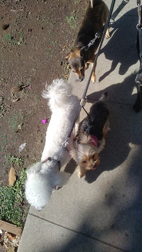 Pet Supply Store «Unleashed by Petco», reviews and photos, 1402 Wilshire Blvd, Santa Monica, CA 90403, USA