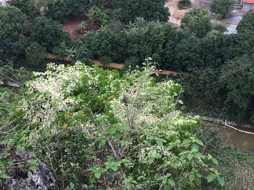 Top 20 cửa hàng son môi Huyện Kim Bảng Hà Nam 2022