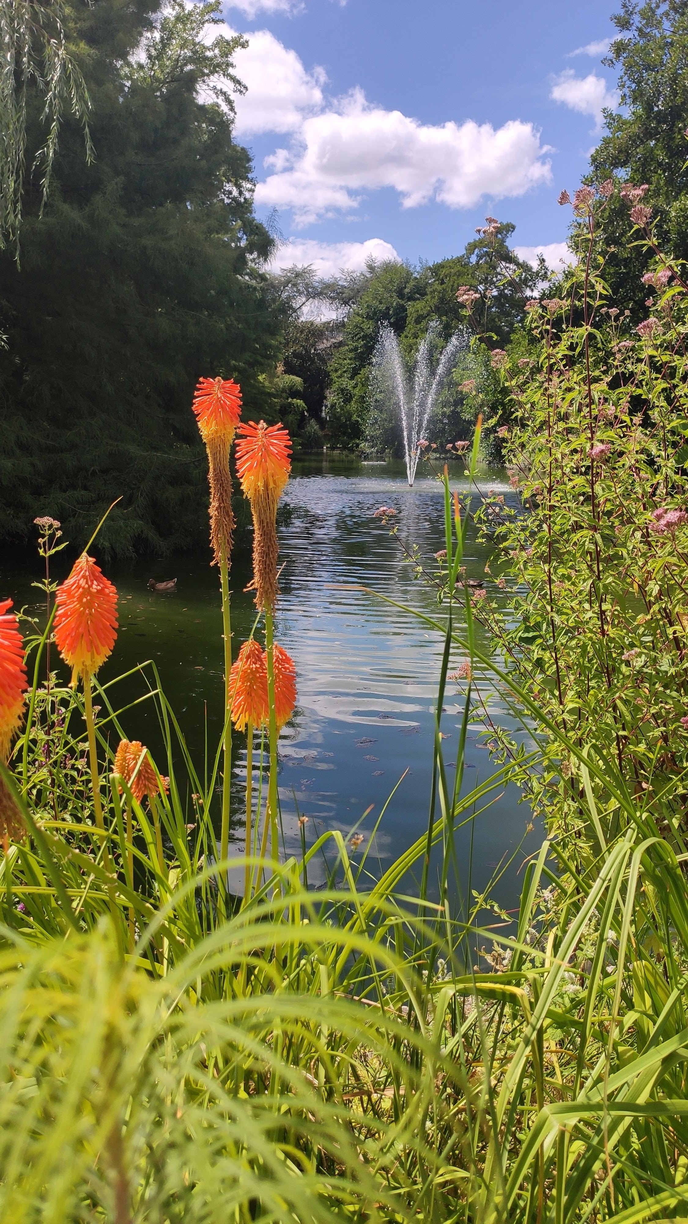 Photo n° 1 de l'avis de ZuRiA. fait le 26/07/2022 à 21:49