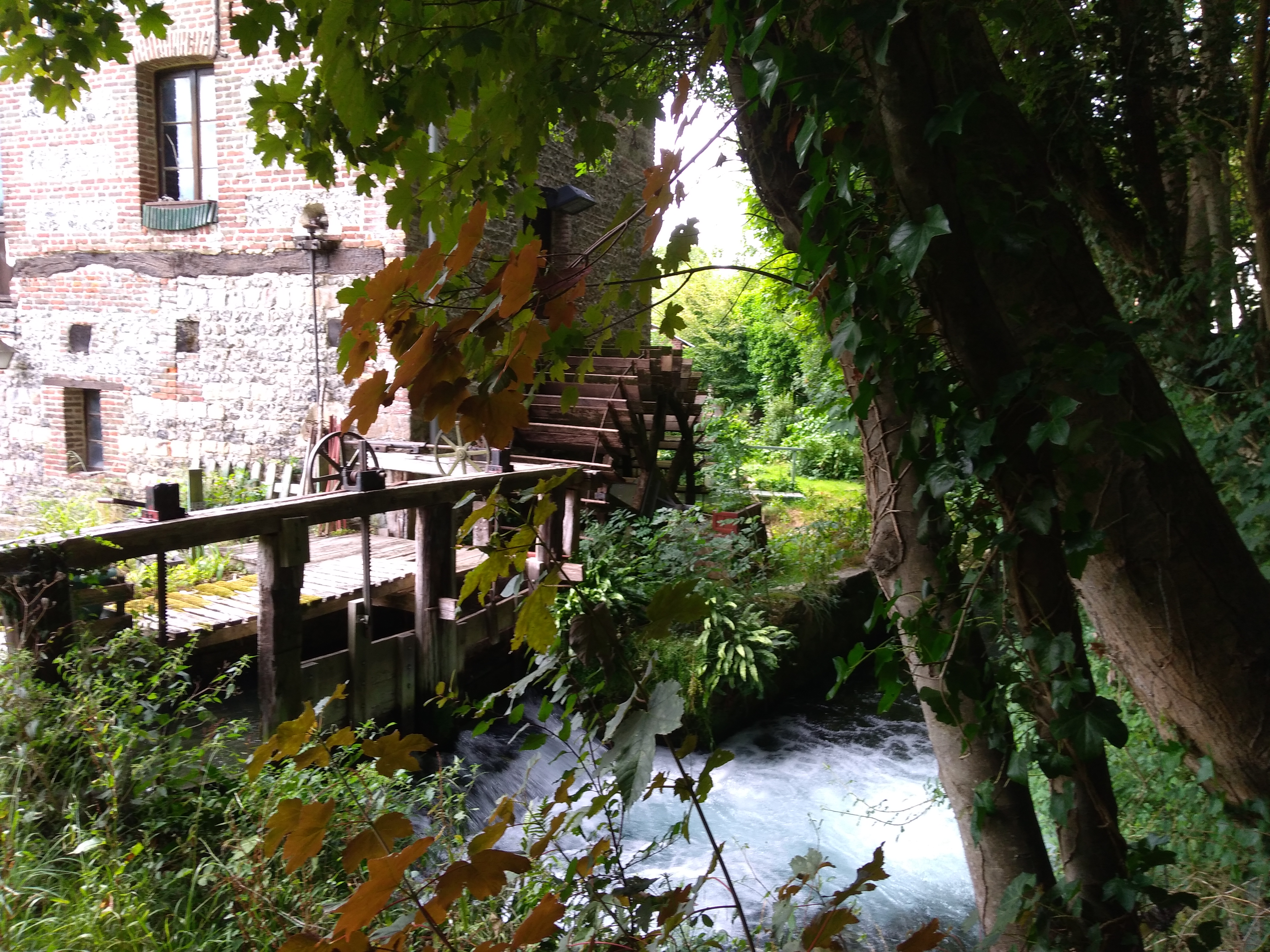 Photo n° 5 de l'avis de Yves.u fait le 15/08/2019 à 09:06