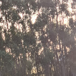 Photo n°2 de l'avis de Ana.a fait le 17/09/2023 à 07:04 sur le  Kuanza Farmhouse & Lodge à Zambujeira do Mar