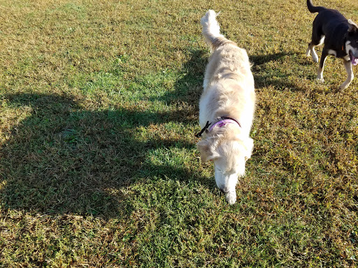 Banquet Hall «Chateau at Coindre Hall», reviews and photos, 101 Browns Rd, Huntington, NY 11743, USA