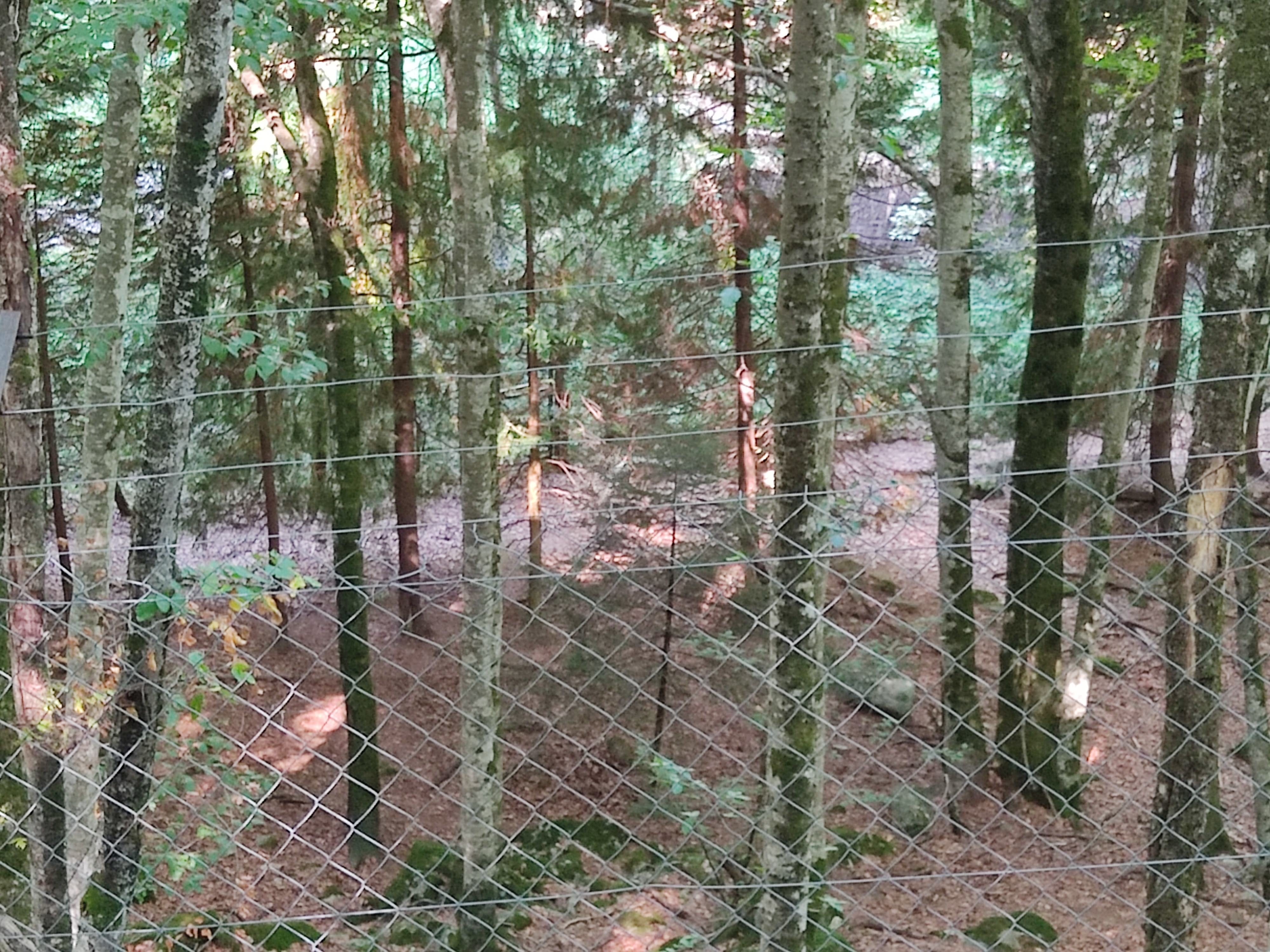 Photo n° 6 de l'avis de Delphine.e fait le 17/08/2022 à 19:26