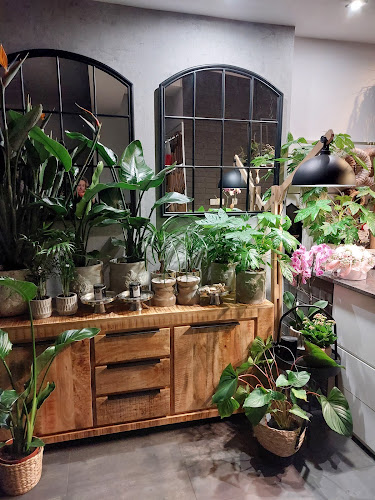 Opinii despre Kwiaty Styl. Wodzisław Śląski. Kwiaciarnia. Kwiatomat24/h în Jastrzębie-Zdrój - Kwiaciarnia