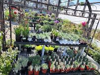 Hillside Gardens - Photo 2 - Car repair in Belmont, MA, Cambridge