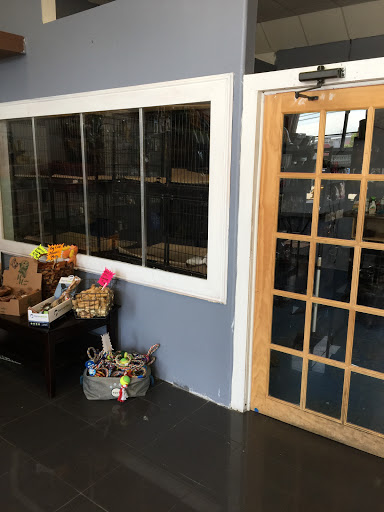 Pet Supply Store «Pets Food Grooming & Supplies», reviews and photos, 374 South St, Newark, NJ 07105, USA
