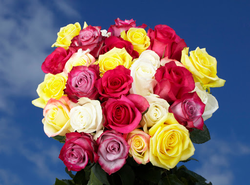 Florist «GlobalRose - Fresh Flowers and Roses at Wholesale Prices», reviews and photos, 7225 NW 25th St #217, Miami, FL 33122, USA