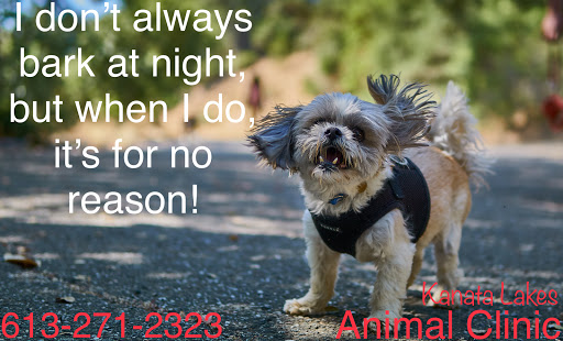 Kanata Lakes Animal Clinic image