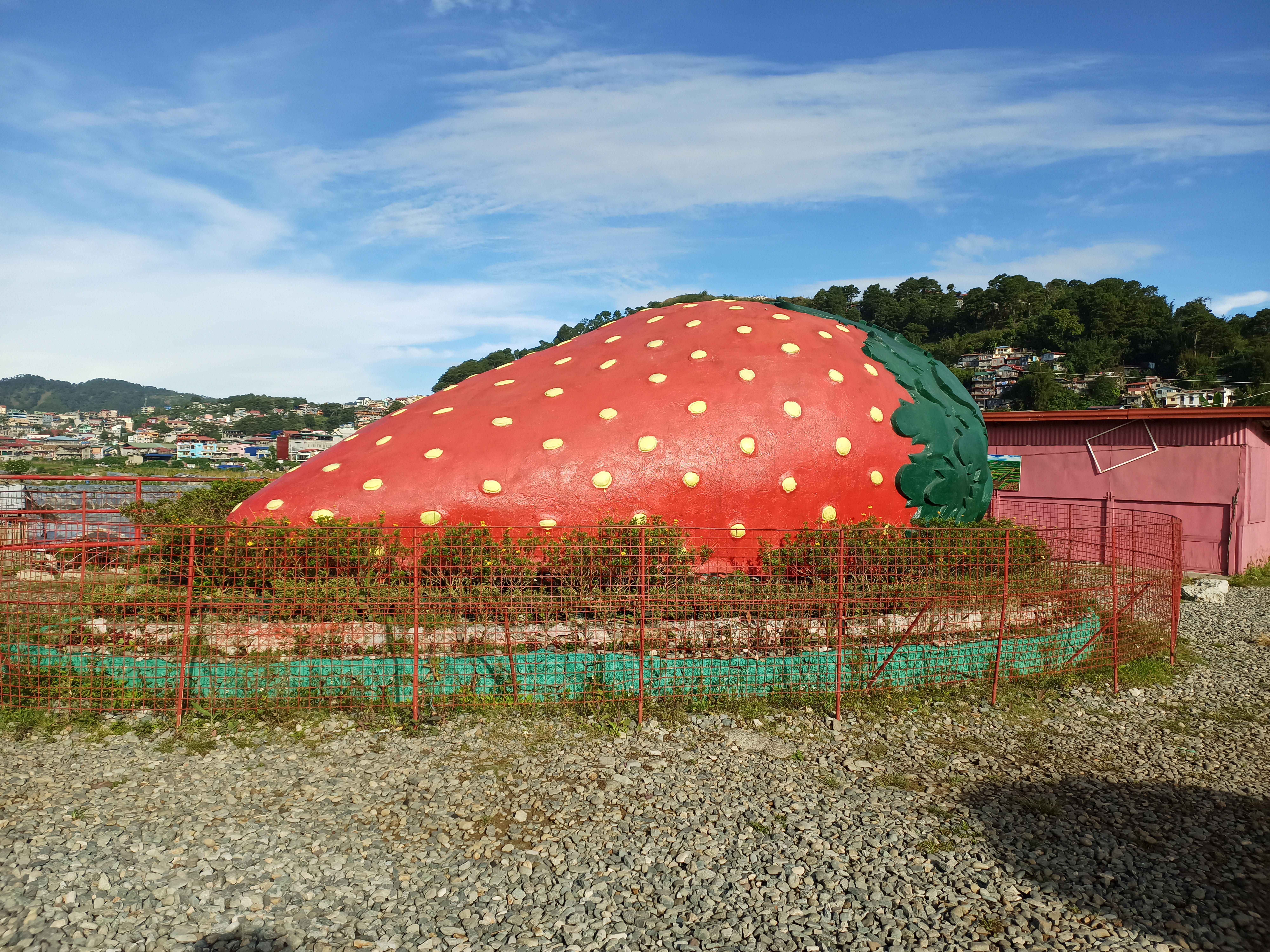 Picture of a place: Strawberry Farm - Home of Giant Strawberry Cake