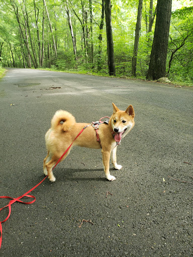 State Park «West Rock Ridge State Park», reviews and photos, 1134 Wintergreen Ave, New Haven, CT 06514, USA