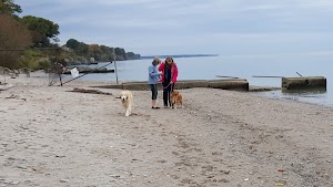 Bradstreets Landing Park - photo 42