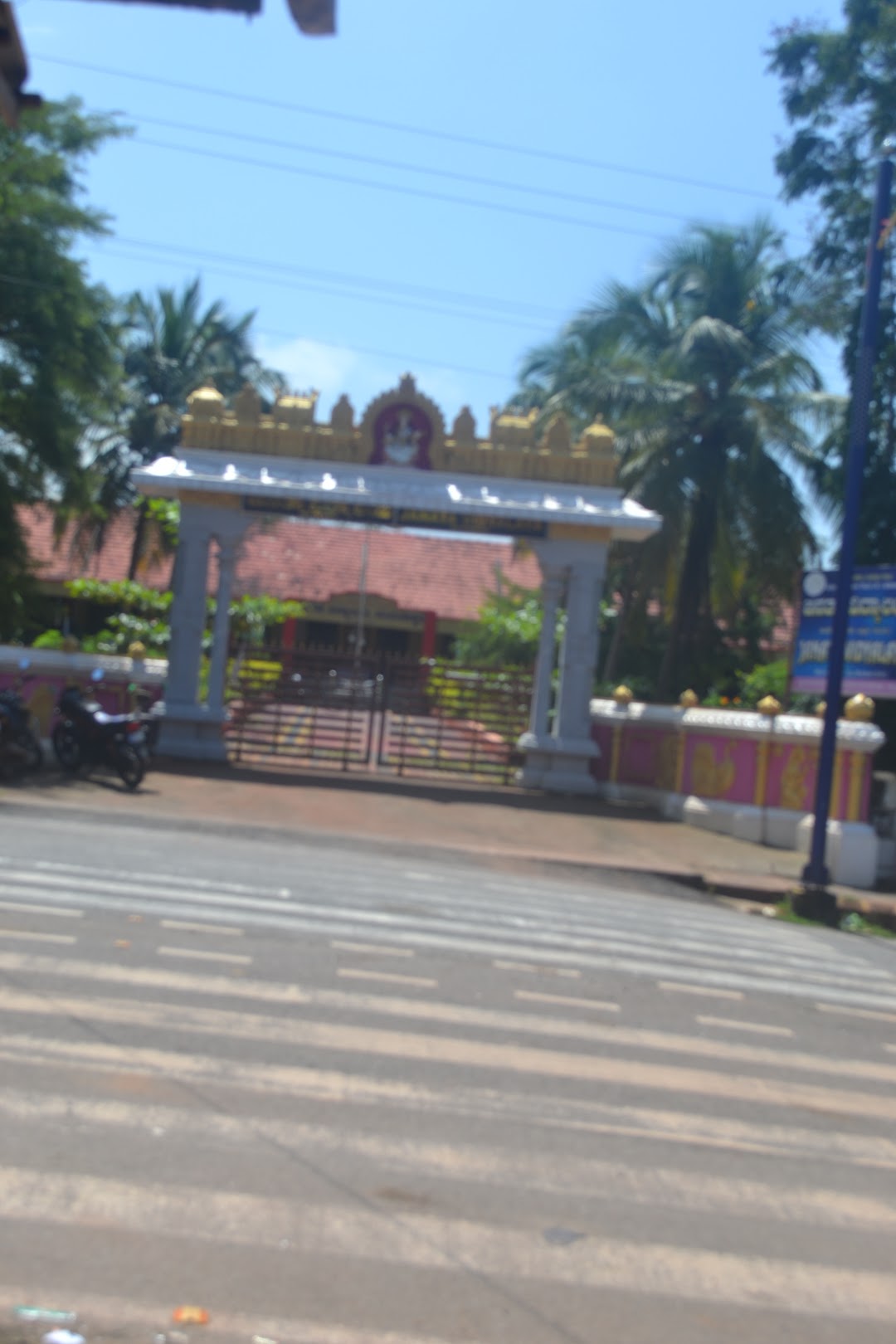MP STORE