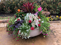 Oropeza Landscaping Service - Photo 2 - Car repair in , Fort Worth