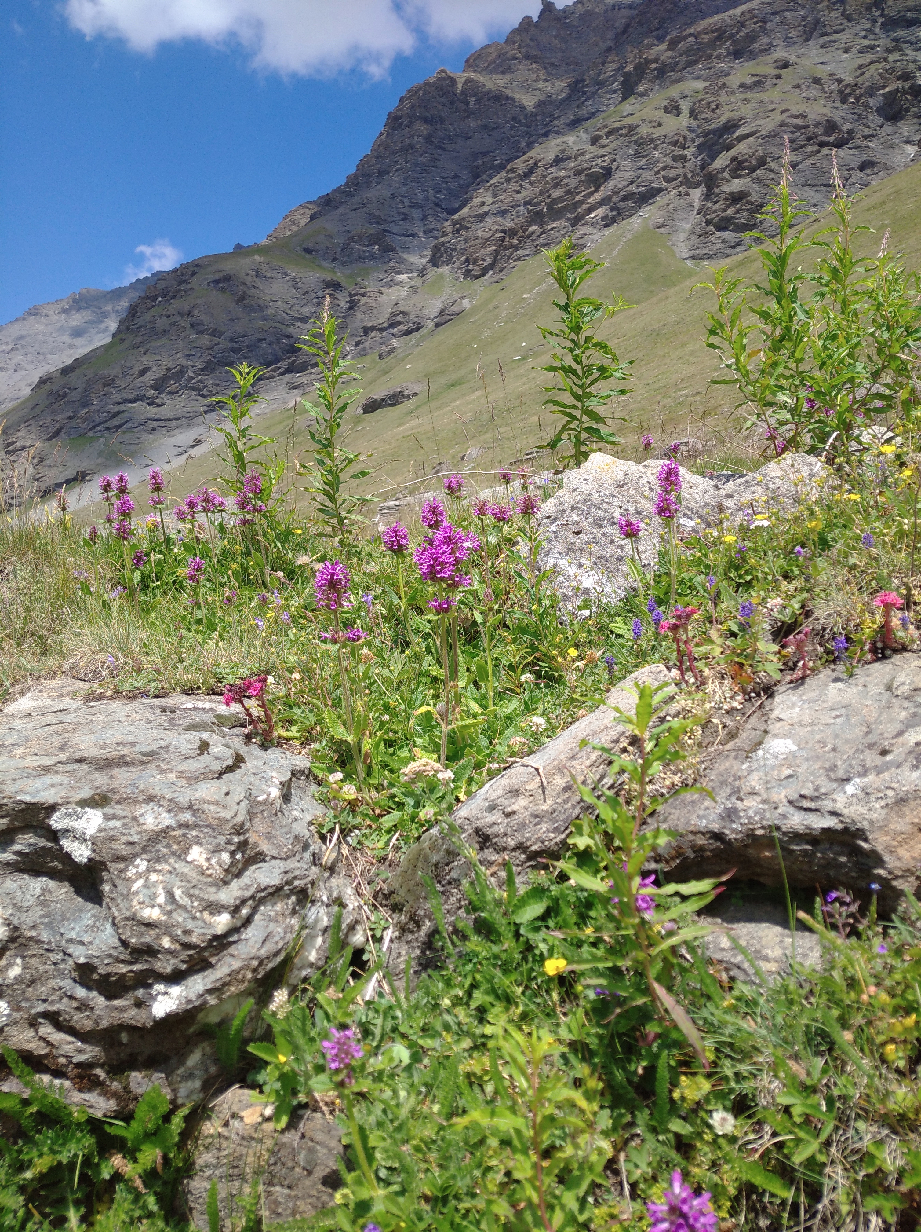 Photo n° 9 de l'avis de Thierry.a fait le 19/07/2022 à 09:55