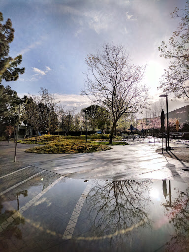 Coffee Shop «Coffee Lab», reviews and photos, 1345 Shorebird Way, Mountain View, CA 94043, USA