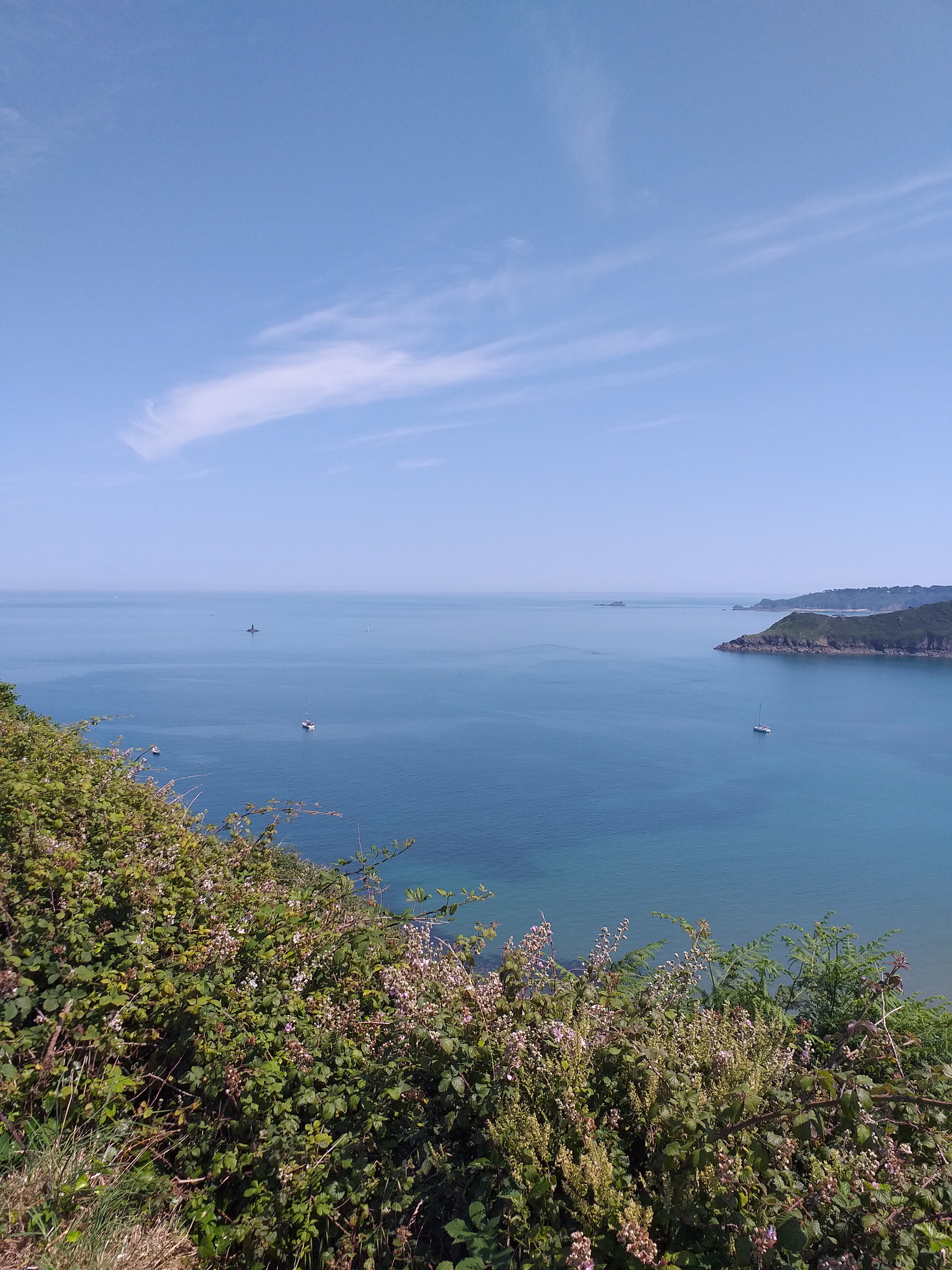 Photo n° 1 de l'avis de Jean.a fait le 06/07/2019 à 14:56