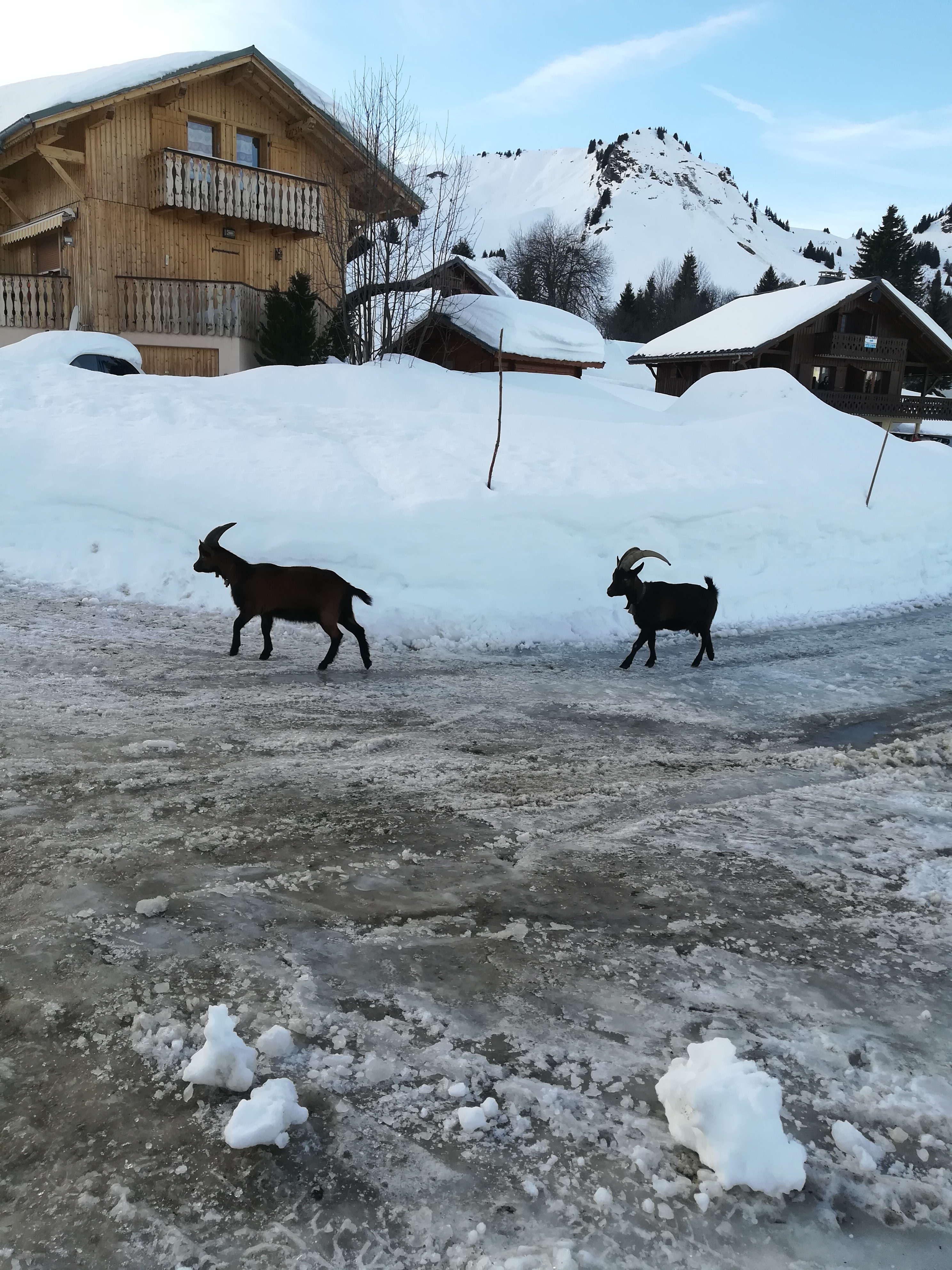 Photo n° 2 de l'avis de Michael.a fait le 03/01/2018 à 17:05