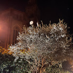 Photo n°9 de l'avis de Romina.a fait le 22/10/2022 à 22:15 sur le  Felicin - Ristorante Albergo Dimora Storica” à Monforte d'Alba