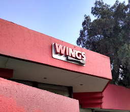 Wings photo