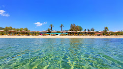 Boufa beach'in fotoğrafı çok temiz temizlik seviyesi ile