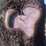 Photo n°1 de l'avis de saverio.e fait le 22/04/2021 à 09:14 sur le  Ca’ d’Pignat | Home Resturant | Organic Farm | B&B | Ospitalità con la O maiuscola à Lama Mocogno