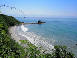 Foto di Palito Verde beach zona selvaggia