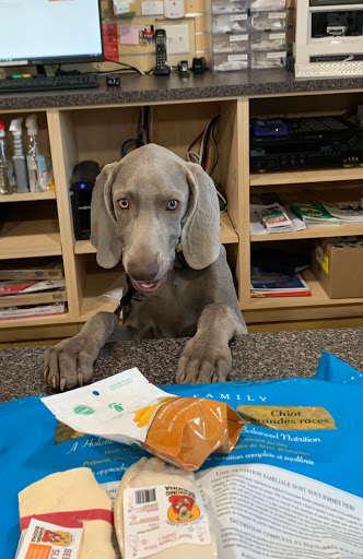 Pet Supply Store «Dog Gone Holistic-SouthShore», reviews and photos, 13131 US-301, Riverview, FL 33578, USA