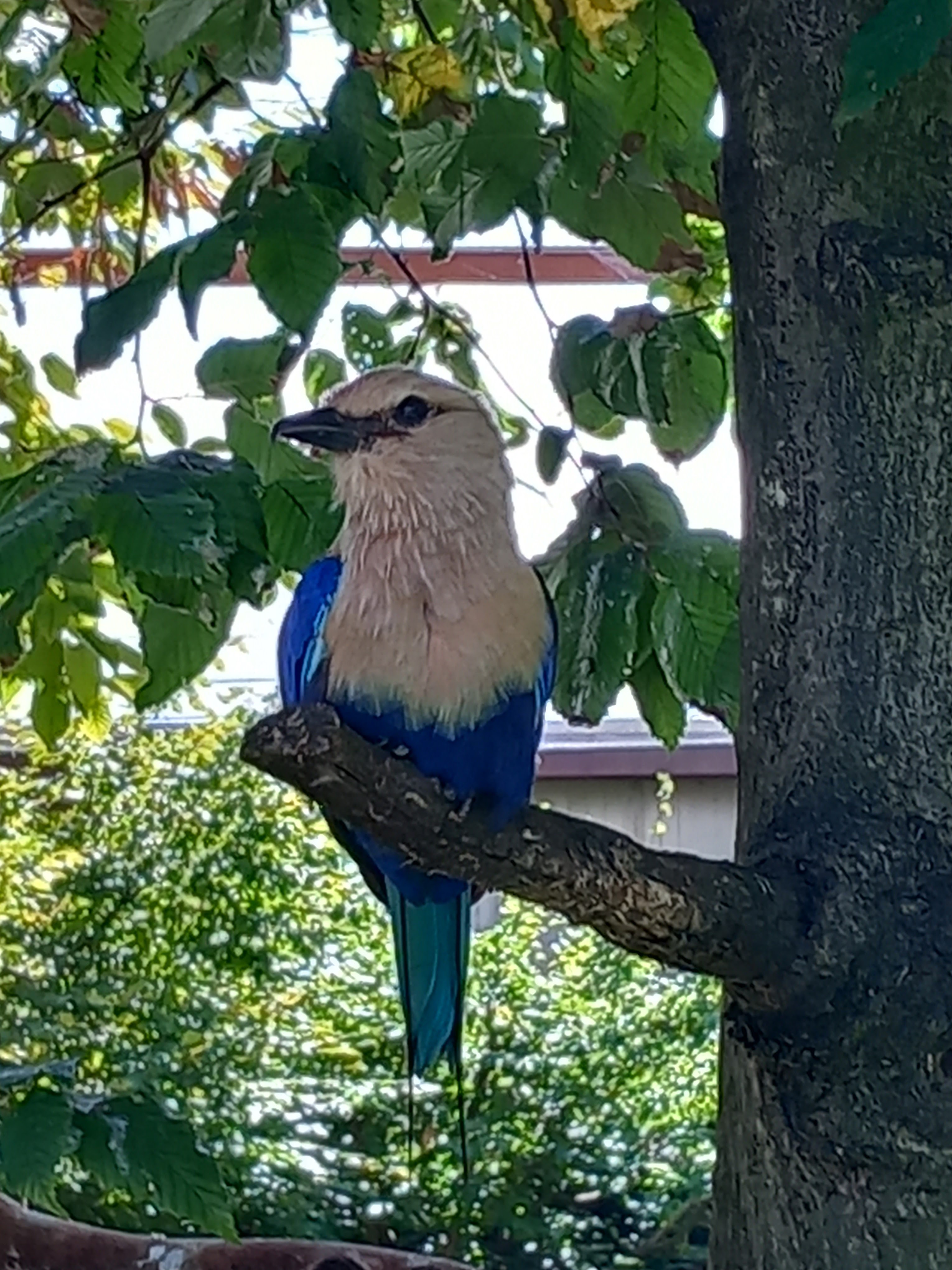 Photo n° 1 de l'avis de Cédric.O fait le 10/08/2023 à 16:41