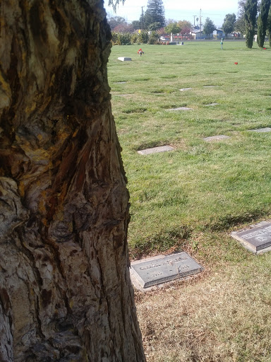 Funeral Home «Chapel of the Chimes, Hayward», reviews and photos, 32992 Mission Blvd, Hayward, CA 94544, USA