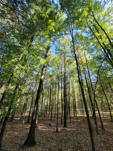 Memorial Park «Veterans Memorial Park», reviews and photos, 60 Bachelor St, Montgomery, NY 12549, USA