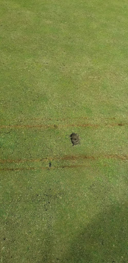 Golf Club «Burnham Woods Golf Course», reviews and photos, 14201 Burnham Ave, Chicago, IL 60633, USA