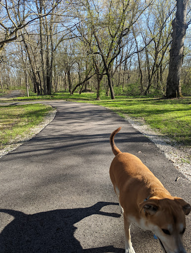 Nature Preserve «Knute Olson, Jr. Forest Preserve», reviews and photos, 12595 Base Line Rd, Kingston, IL 60145, USA