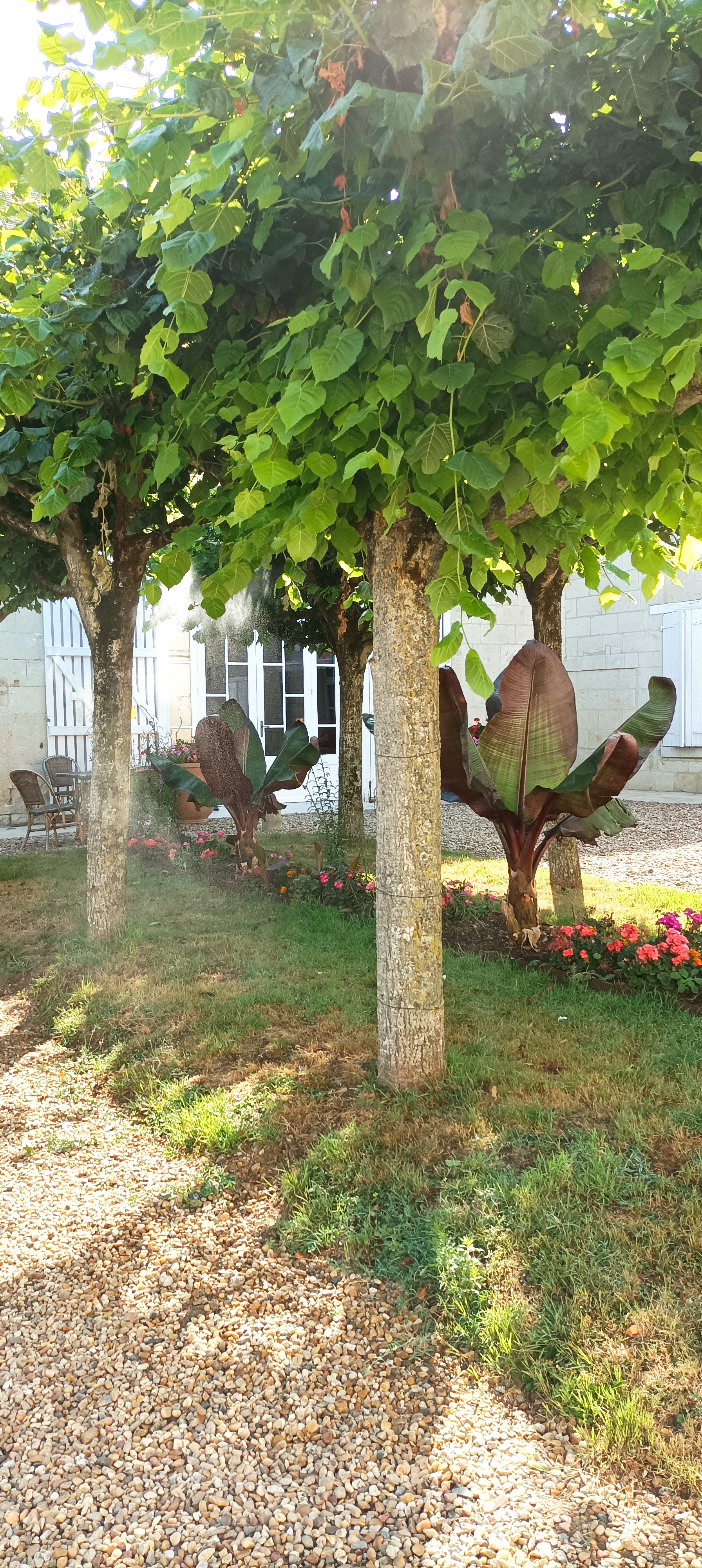 Photo n° 8 de l'avis de flo.a fait le 23/07/2022 à 13:48