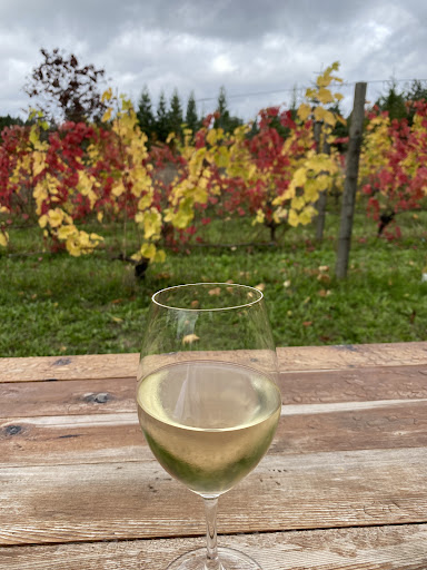 Winery «Bainbridge Vineyards», reviews and photos, 8989 NE Day Rd, Bainbridge Island, WA 98110, USA